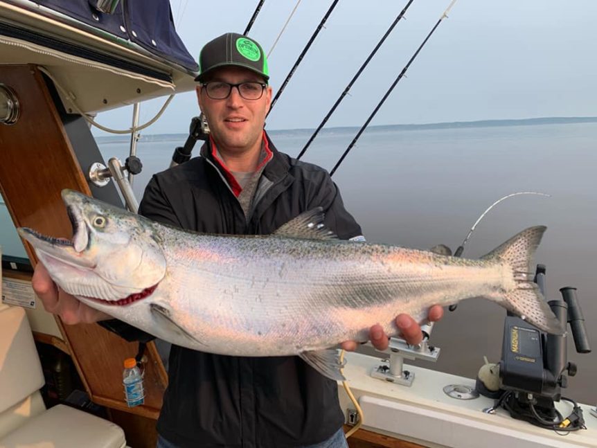 is there salmon in lake superior